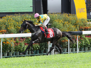 St Peter's Gift SMALL